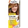 Barva na vlasy Pallete Color Shampoo 317/7-554 oříškově plavý