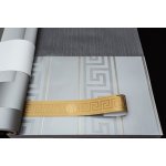 KT2-62539 Luxusní omyvatelná vliesová bordura na zeď Versace, velikost 5 cm x 5 m – Zboží Mobilmania