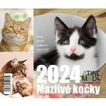 Mazlivé kočky stolní týdenní 150 X 130 mm 2024 – Hledejceny.cz
