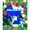 Puzzle Sunsout Mail Box Kittens 1000 dílků