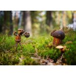 Pohlednice Dubánek houbař – Zboží Dáma