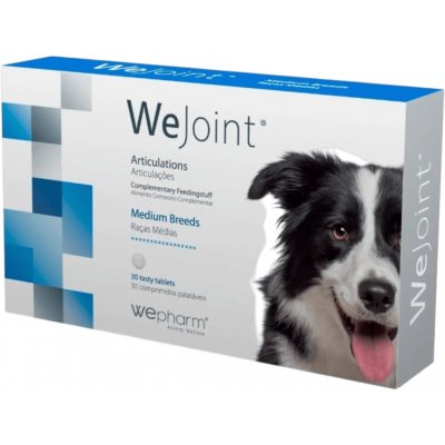 Wepharm WeJoint pro střední psy 30 tbl – Hledejceny.cz