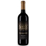 Casa Vinicola Botter Primadoro Primitivo 2025 Červené suché 13% 0,75 l (holá láhev) – Hledejceny.cz