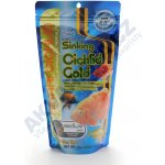 Hikari Cichlid Gold Sinking Medium 324 g – Zboží Mobilmania