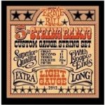 ERNIE BALL 2312 – Zboží Mobilmania