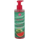 Mýdlo Dermacol Aroma Ritual Fresh Watermelon tekuté mýdlo na ruce 250 ml
