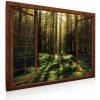 Obraz Malvis 3D Obraz Kouzelný mechový les 120x80 cm