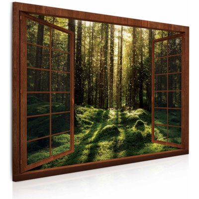 Malvis 3D Obraz Kouzelný mechový les 120x80 cm – Zboží Mobilmania