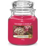 Yankee Candle Peppermint Pinwheels 411 g – Zbozi.Blesk.cz