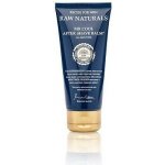Recipe For Men Raw Naturals balzám po holení 100 ml – Sleviste.cz