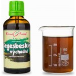 Bylinné kapky Pavlovy Segesbeskie TCM tinktrura 50 ml – Hledejceny.cz