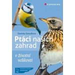 Ptáci našich zahrad – Hledejceny.cz