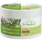 Alpa Herbal bylinné mazání na klouby 250 ml – Zboží Dáma