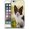 Pouzdro a kryt na mobilní telefon Apple Pouzdro HEAD CASE Apple iPhone 6 a 6S BORDER KÓLIE