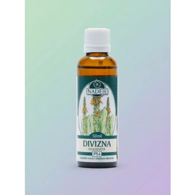 Divizna velkokvětá tinktura z pupenů na dýchací cesty 50 ml – Hledejceny.cz