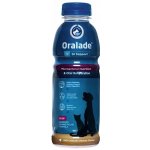 Oralade GI Support 500 ml – Hledejceny.cz