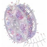 EMOS LED Venkovní řetěz 960xLED/8 funkcí 9,6m IP44 multicolor D3FM02 – Hledejceny.cz