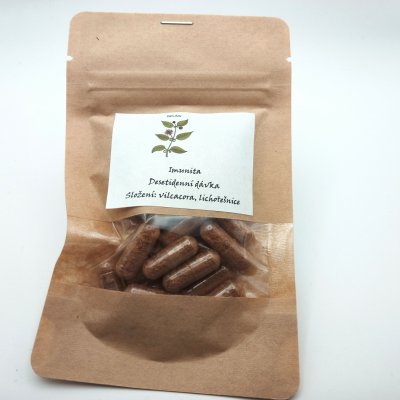 Greenfood Nutrition Immunity Box Vitamin C 500 mg + Rosehip Extract doplněk stravy pro posílení imunity 60 ks + Vitamin D3 doplněk stravy pro posílení imunity 60 ks + Pillbox – Hledejceny.cz