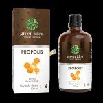 Green idea Propolis tinktura 100 ml – Hledejceny.cz