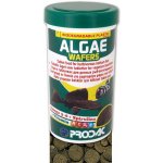 Prodac Algae Wafers 50 g – Hledejceny.cz
