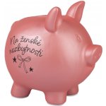 Prasátková pokladnička - Na společnou cestu – Hledejceny.cz