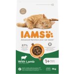 Iams Cat Adult All Breeds Lamb 3 kg – Hledejceny.cz