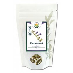 Salvia Paradise Šišák vousatý nať 1 kg