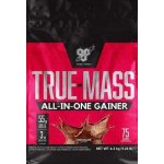 BSN True-Mass All In One Gainer 4200 g – Zboží Mobilmania