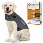 ThunderShirt Zklidňující vesta pro psy – Sleviste.cz