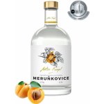 Anton Kaapl Meruňkovice 47% 0,5 l (holá láhev) – Zboží Dáma