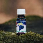 Slow natur vonný olej Černé hrozny 10 ml – Hledejceny.cz