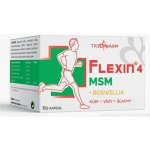 Triopharm FLEXIN 4 MSM 60 kapslí – Hledejceny.cz