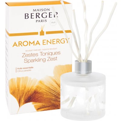 Maison Berger Paris difuzér Aroma Energy 180 ml – Zbozi.Blesk.cz