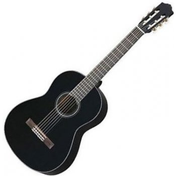 TAKAMINE GC3