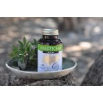 Masticha Terapia Active 100 tablet – Hledejceny.cz