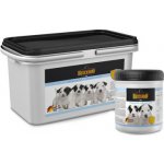 Belcando Mléko pro štěňata 2500 g – Sleviste.cz