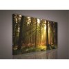 Obraz Obraz na plátně les s východem slunce 204O1, 100 x 75 cm, IMPOL TRADE