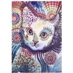 Norimpex Diamantové malování 7D Kočičí pohled 30 x 40 cm – Zboží Mobilmania