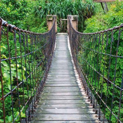 Dimex FL170-025 Fototapeta na podlahu Footbridge rozměry 170 x 170 cm – Zboží Mobilmania