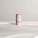Skin1004 Madagascar Centella Poremizing Quick Clay Stick Mask 27 g – Hledejceny.cz