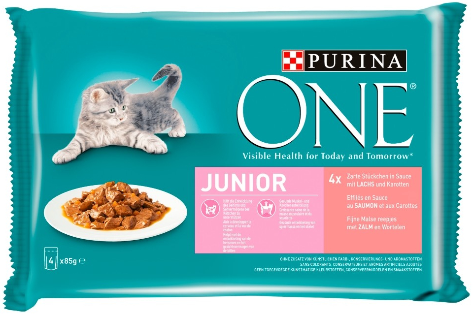 Purina ONE Junior 12 x 4 x 85 g