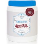 H Project Line Hlemýždí kosmetika Kondicionér s kyselinou hyaluronovou Ambrosia 1000 ml – Sleviste.cz