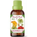 Bylinné kapky Lichořeřišnice kvetoucí nať Bio kapky tinktura 50 ml – Hledejceny.cz