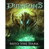 Hra na PC Dungeons: Into the Dark