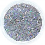 Aglia Silver Strip Hologram glitter 2 g – Zboží Mobilmania