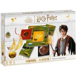 Clementoni Harry Potter Famfrpál – Zbozi.Blesk.cz