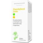 Dědek kořenář Novy Zlatobýlová směs ULK+ 50 ml – Hledejceny.cz