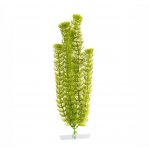 JK rostlina Anacharis 25-28 cm – Zboží Mobilmania