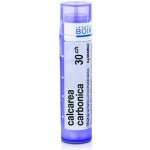 CALCAREA CARBONICA POR 30CH GRA 1X4G – Hledejceny.cz