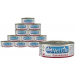 Royal Canin Veterinary Diet Cat Gastrointestinal 12 x 85 g – Sleviste.cz